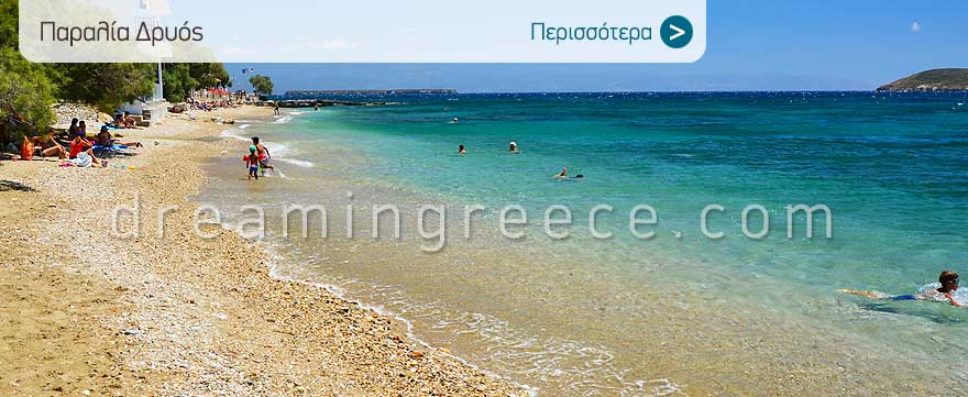 Παραλία Δρύος στην Πάρο. Πάρος παραλίες. Καλοκαίρι στα Ελληνικά νησιά.