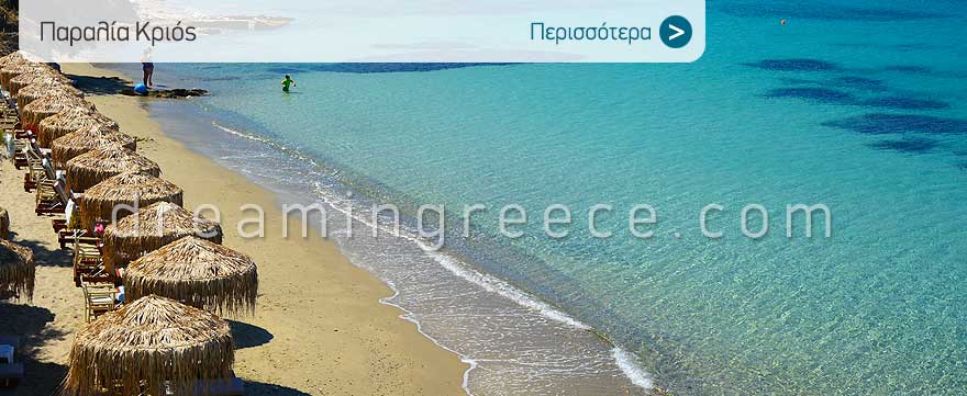Παραλία Κριός στην Πάρο. Πάρος παραλίες. Ταξιδιωτικός Οδηγός Ελλάδος.