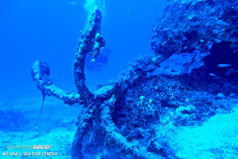 We Shall Sea Dive Center Amorgos. Visit Greece